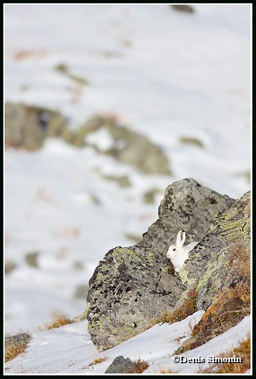 Blanchon en hiver