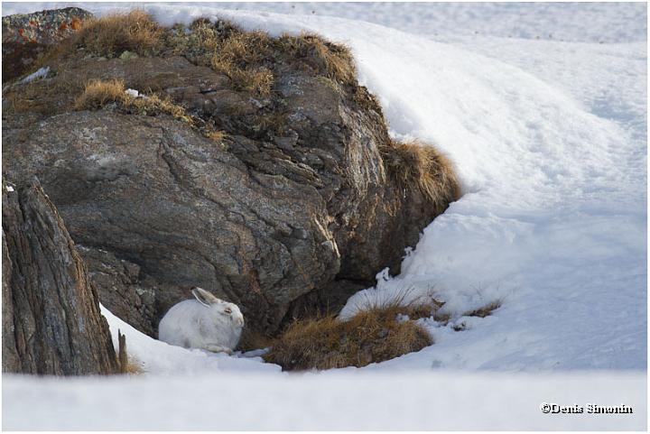 Blanchon en hiver