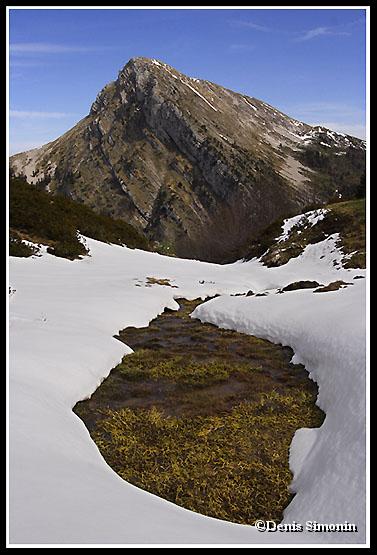Chartreuse - la  Sure