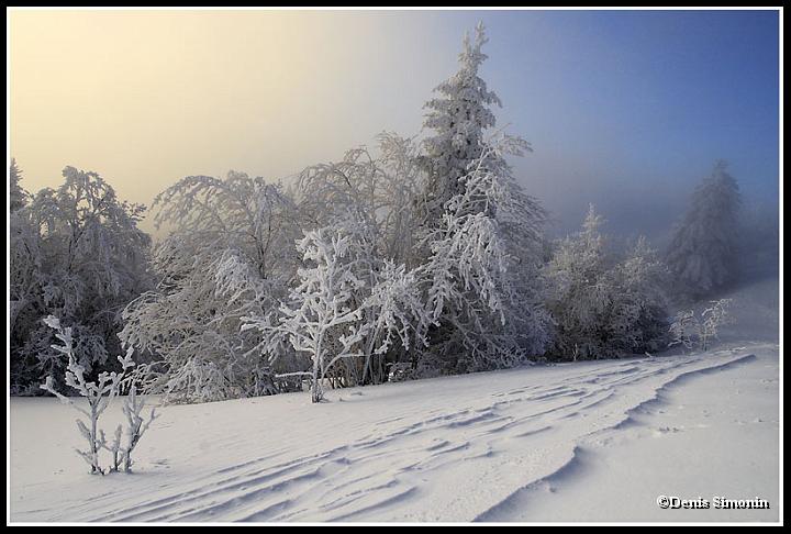 Hiver en Chartreuse