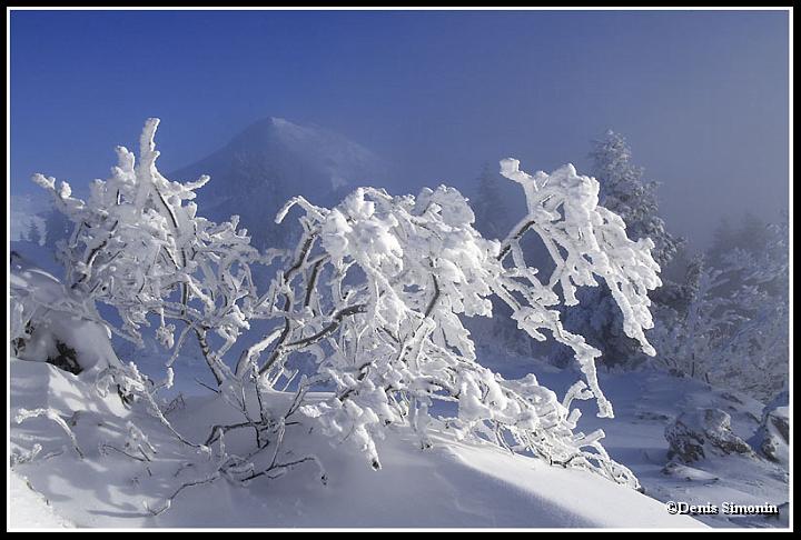 Hiver en Chartreuse