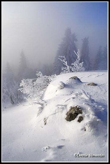 Hiver en Chartreuse