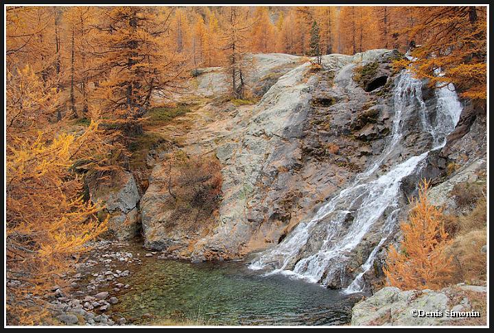 Mercantour - Cascade et mélèzes