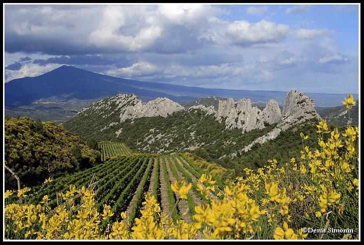 Les dentelles de Montmirail