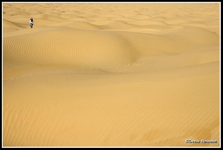 Tunisie - Le Grand erg oriental